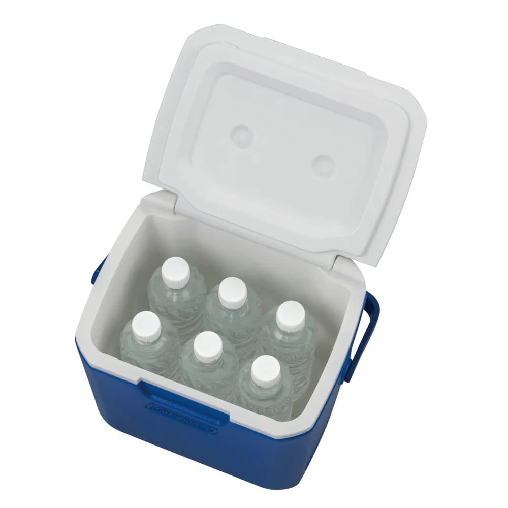 Product Image - 44008