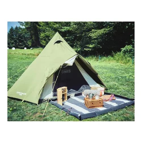 Product Image - 7313